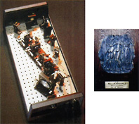 The world's first continuously-variable titanium-sapphire lasers for all wavelength region (Left). Medal of the industrial technology development prize (Right) 
