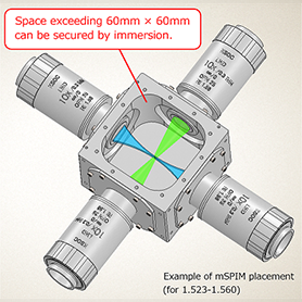 space exceeding 60mm x 60mm can be secured by immersion